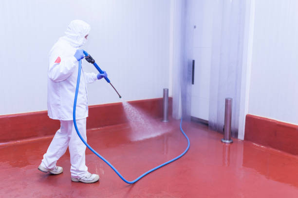 Best Solar Panel Cleaning  in Petersburg, IL